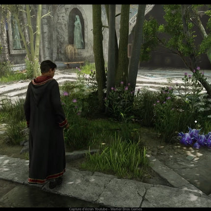 Hogwarts Legacy Nintendo Switch 2